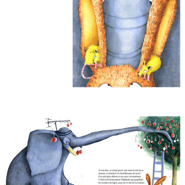 Illustrations
